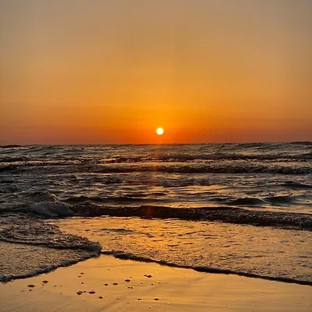 En La Sombra Lägenhet *