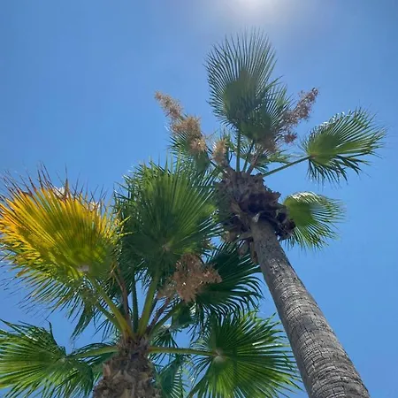 En La Sombra * Alicante